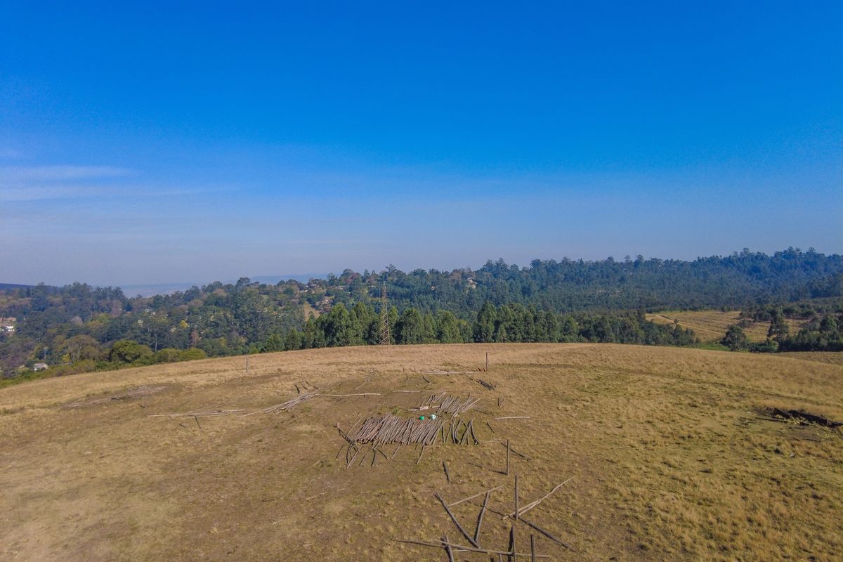 An elevated aerial view of a vacant residential plot featuring open grassy terrain and distant forest views.
