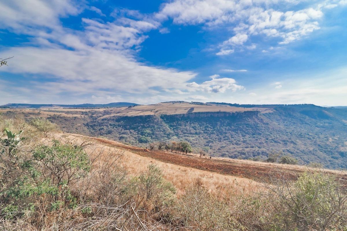 Small Holding For Sale in Hilton Rural, Hilton, KwaZulu Natal - Photo 3