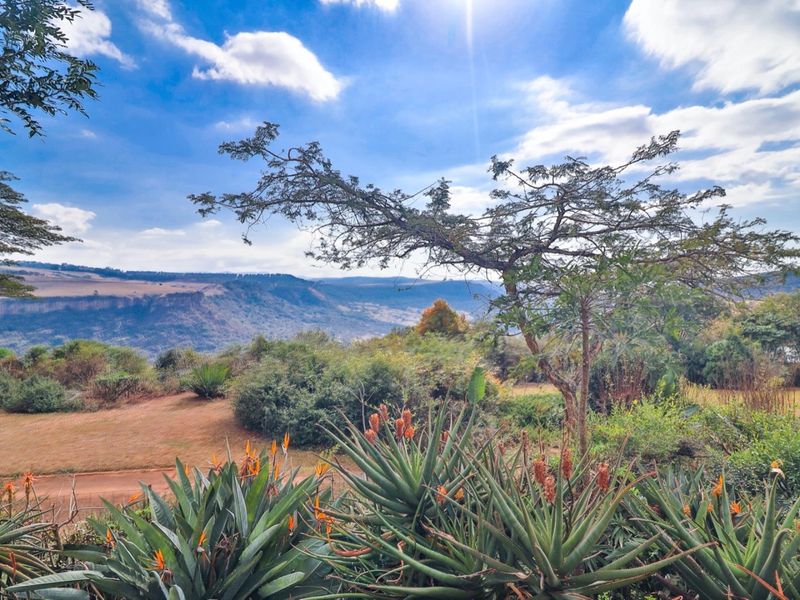 Small Holding For Sale in Hilton Rural, Hilton, KwaZulu Natal - Photo 6