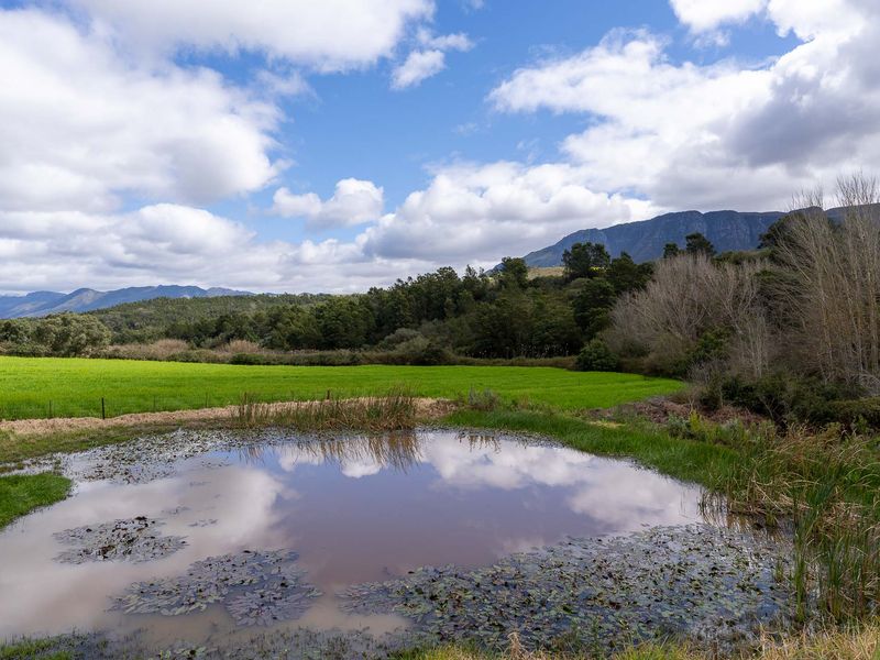Farm For Sale in Riversdale, Western Cape - Photo 8
