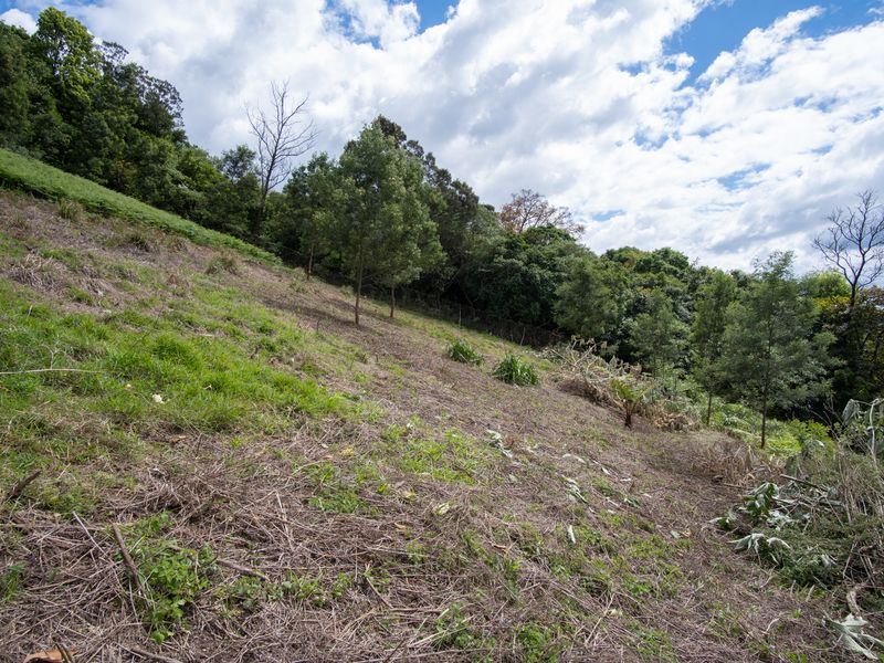 Vacant Land For Sale in Winterskloof, Hilton, KwaZulu Natal - Photo 9