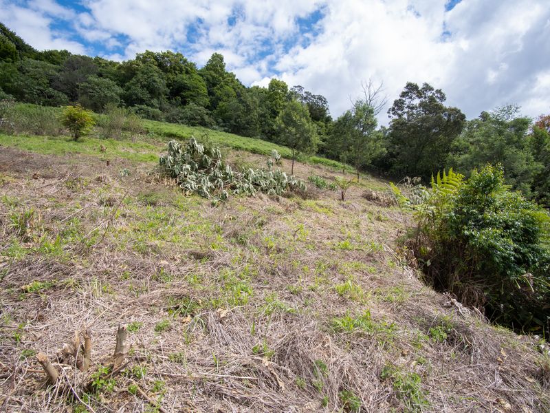 Vacant Land For Sale in Winterskloof, Hilton, KwaZulu Natal - Photo 6