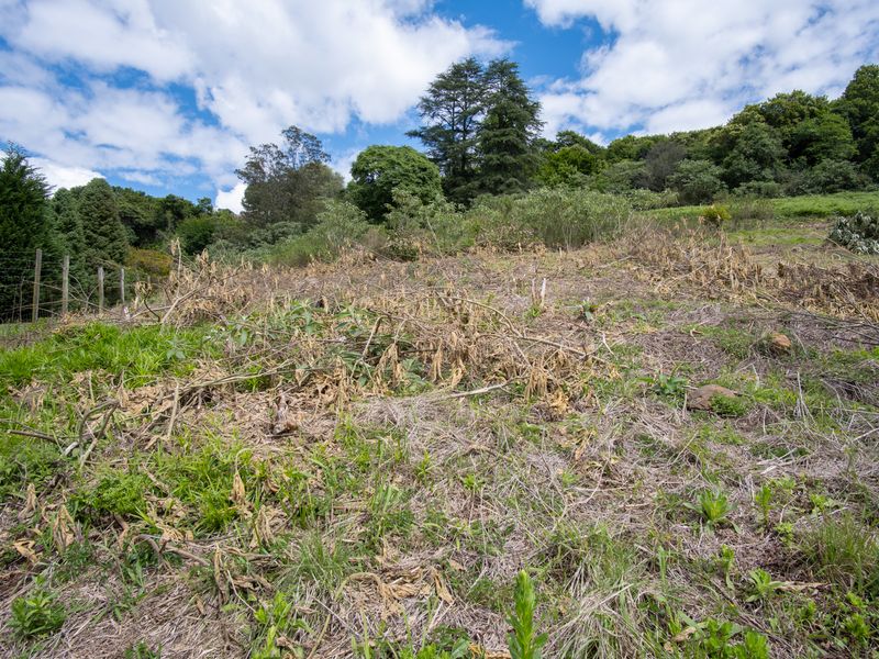 Vacant Land For Sale in Winterskloof, Hilton, KwaZulu Natal - Photo 5