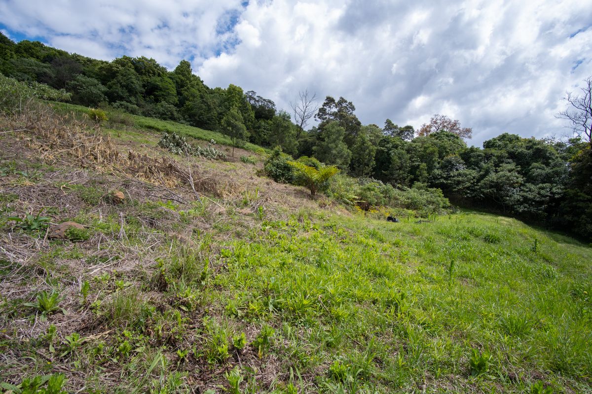 Vacant Land For Sale in Winterskloof, Hilton, KwaZulu Natal - Photo 3