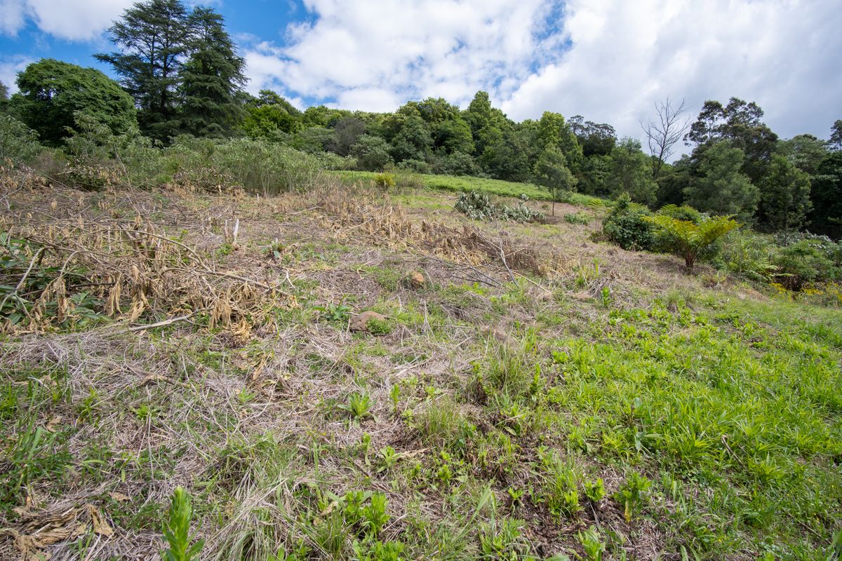 Vacant Land For Sale in Winterskloof, Hilton, KwaZulu Natal - Photo 5