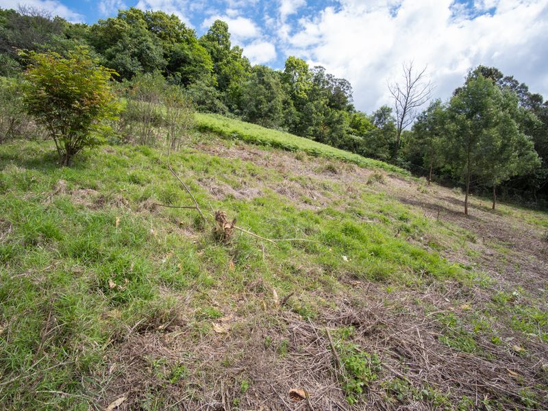A sloped, undeveloped residential plot featuring natural grass cover and established trees, offering a peaceful, elevated landscape setting.