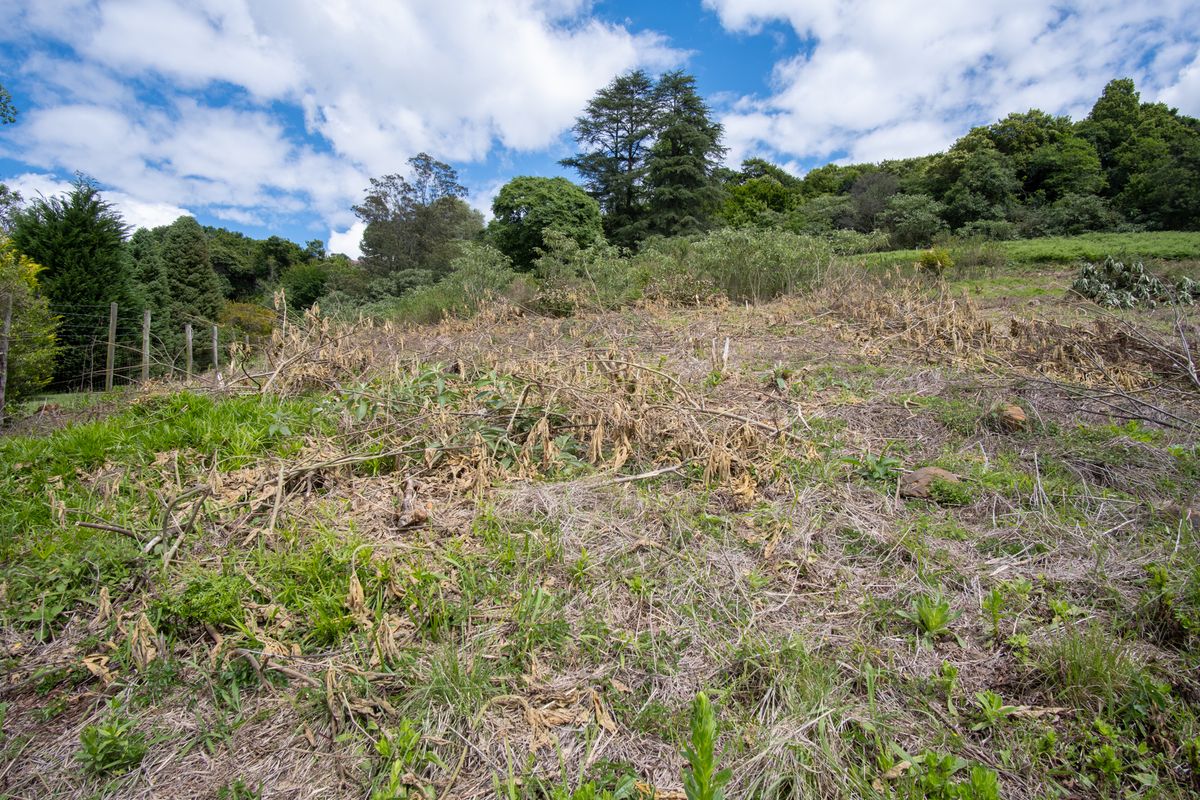 Vacant Land For Sale in Winterskloof, Hilton, KwaZulu Natal - Photo 4