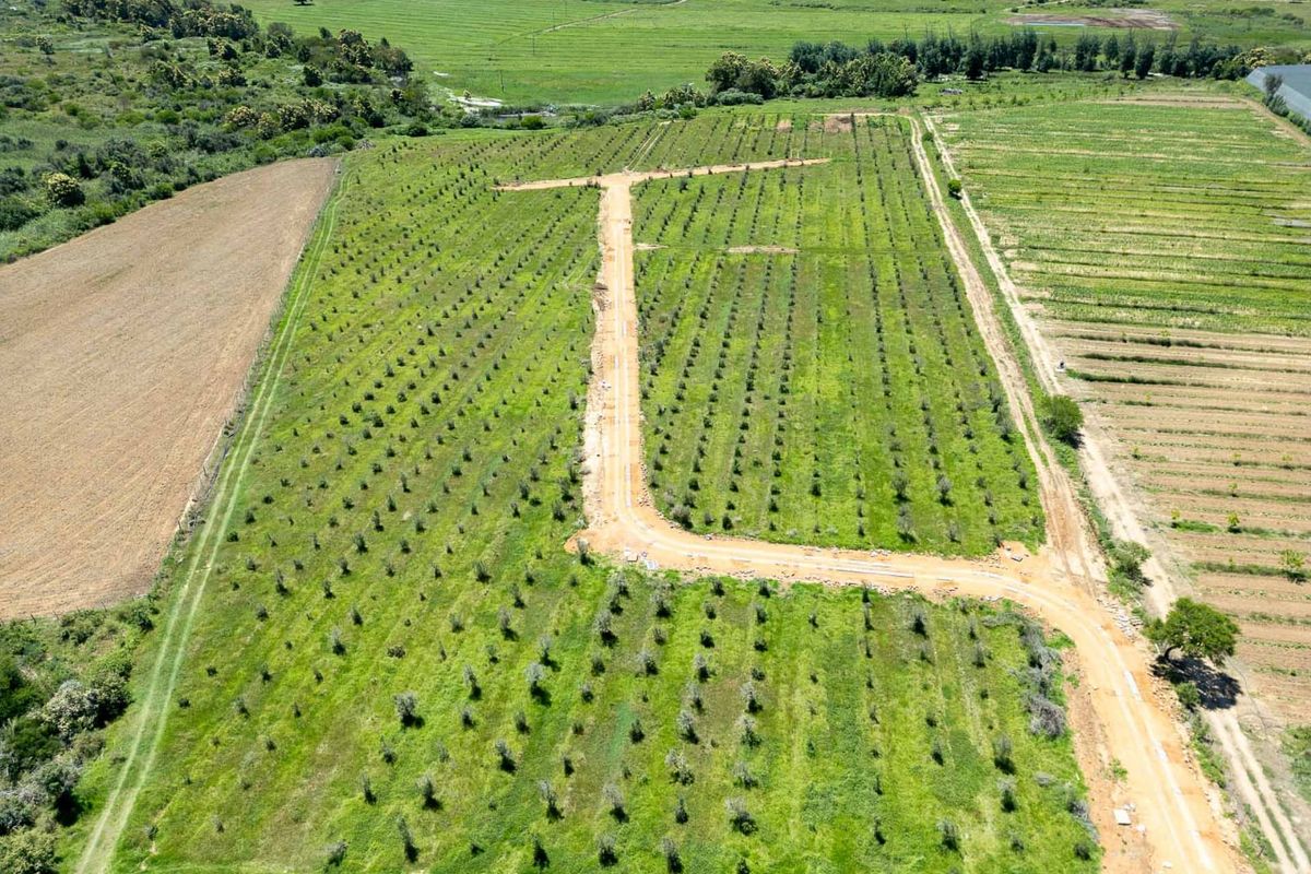 Vacant Land For Sale in Riversdale Rural, Riversdale, Western Cape - Photo 4