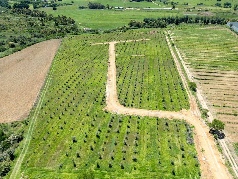 Vacant Land For Sale in Riversdale Rural, Riversdale, Western Cape - Photo 4