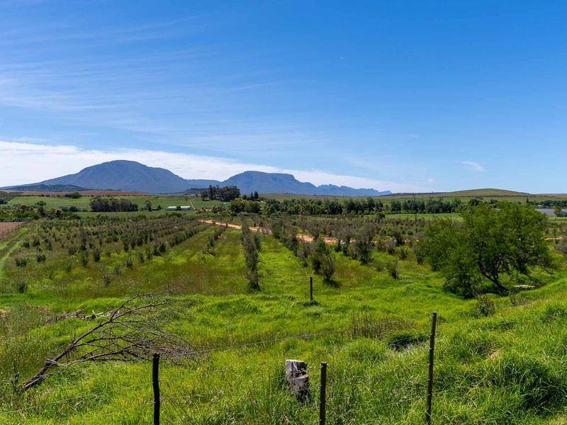 Vacant Land For Sale in Riversdale Rural, Riversdale, Western Cape - Photo 10