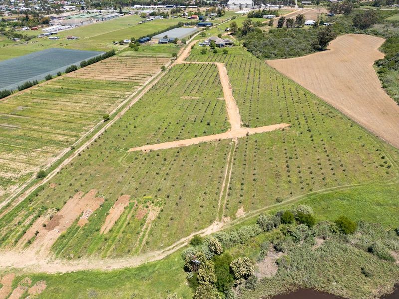 Vacant Land For Sale in Riversdale Rural, Riversdale, Western Cape - Photo 7