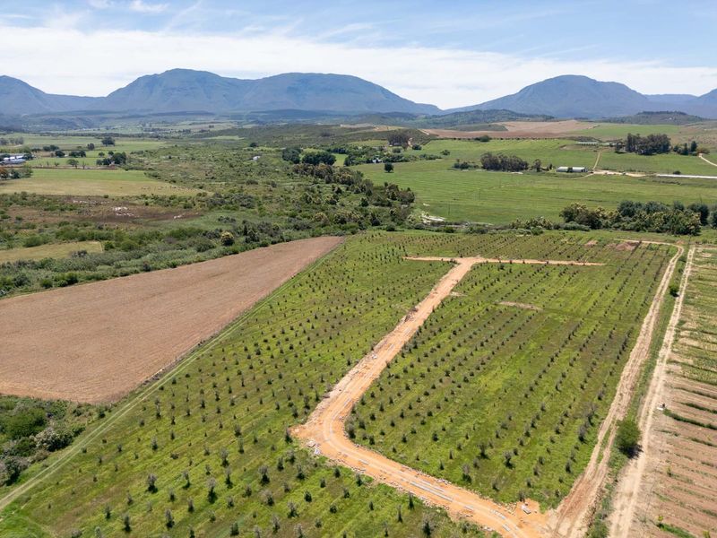 Vacant Land For Sale in Riversdale Rural, Riversdale, Western Cape - Photo 8