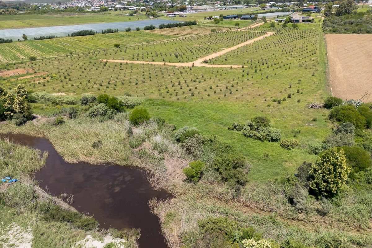 Vacant Land For Sale in Riversdale Rural, Riversdale, Western Cape - Photo 5