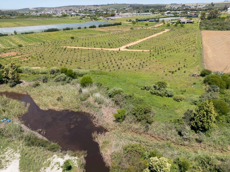 Vacant Land For Sale in Riversdale Rural, Riversdale, Western Cape - Photo 5