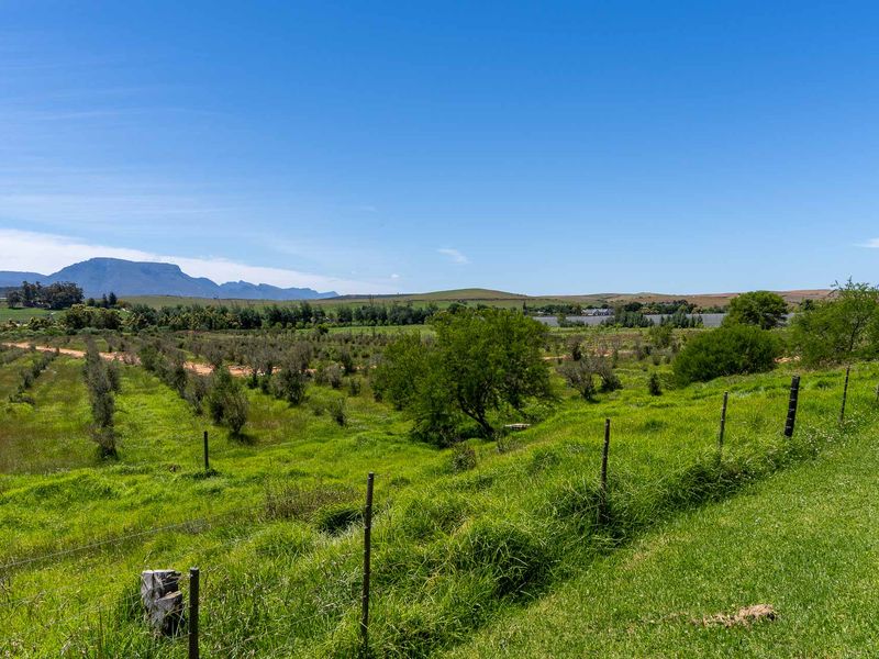 Vacant Land For Sale in Riversdale Rural, Riversdale, Western Cape - Photo 1