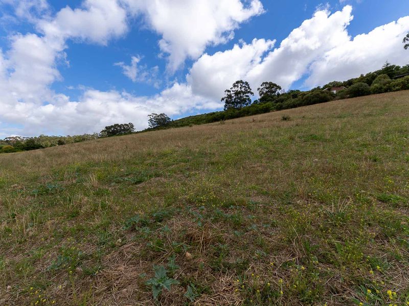 Vacant Land For Sale in Heidelberg Rural, Western Cape - Photo 7