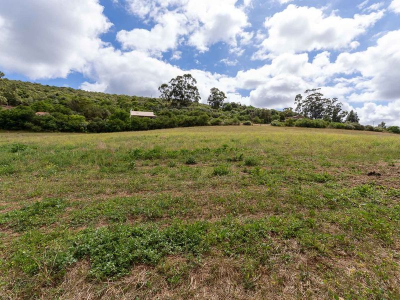 Vacant Land For Sale in Heidelberg Rural, Western Cape - Photo 5