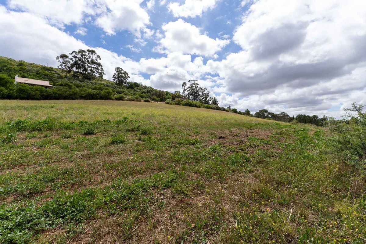 Vacant Land For Sale in Heidelberg Rural, Western Cape - Photo 4