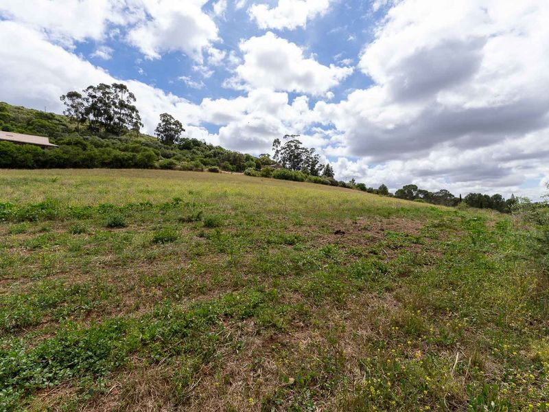 Vacant Land For Sale in Heidelberg Rural, Western Cape - Photo 4