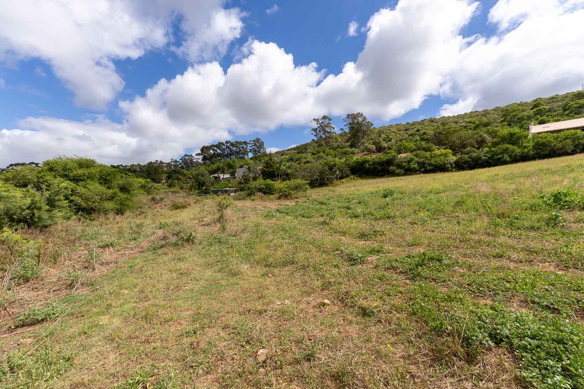 Vacant Land For Sale in Heidelberg Rural, Western Cape - Photo 3