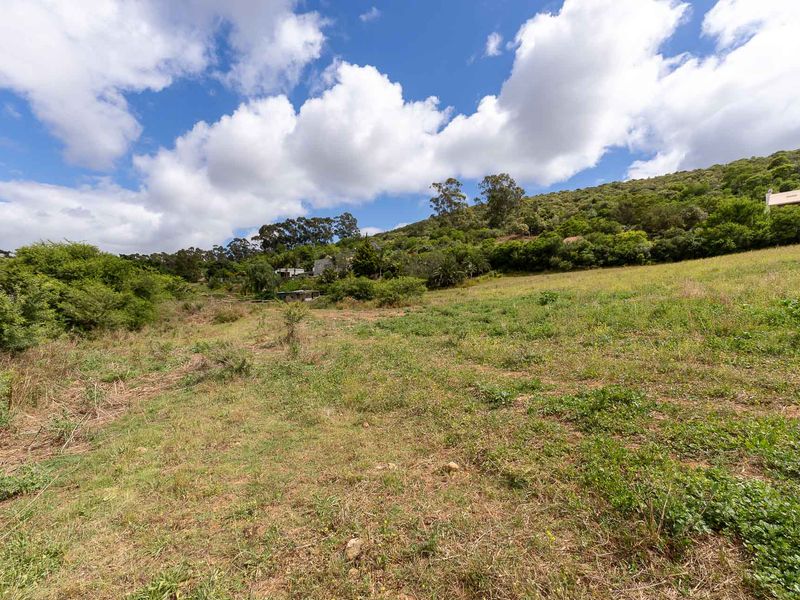 Vacant Land For Sale in Heidelberg Rural, Western Cape - Photo 3