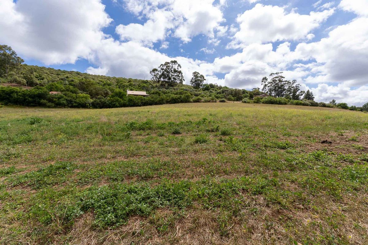 Vacant Land For Sale in Heidelberg Rural, Western Cape - Photo 4