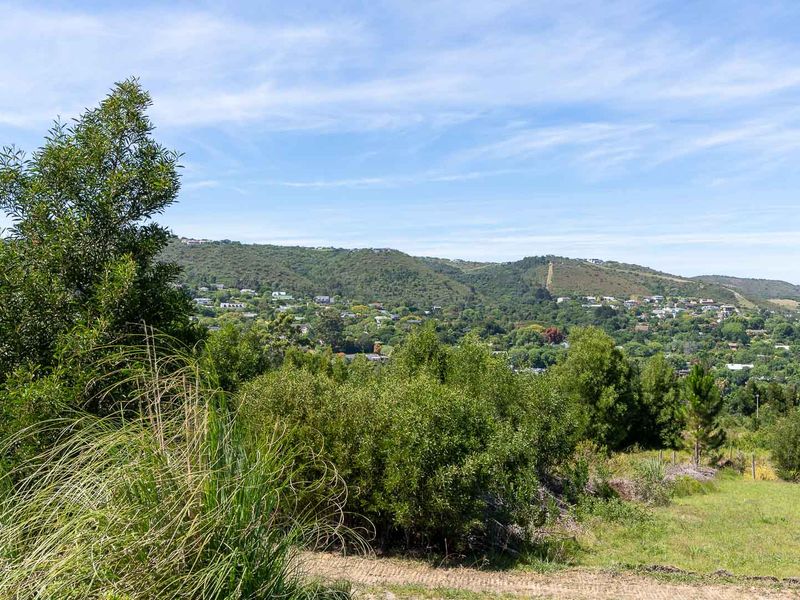 Vacant Land For Sale in Fisher Haven, Knysna, Western Cape - Photo 6
