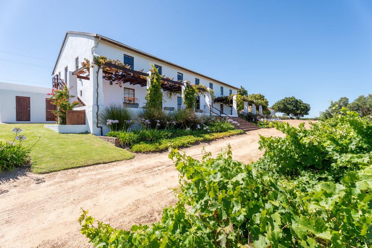 A charming farmhouse exterior featuring a covered pergola, landscaped garden, and a dirt driveway set against a backdrop of lush vineyards.