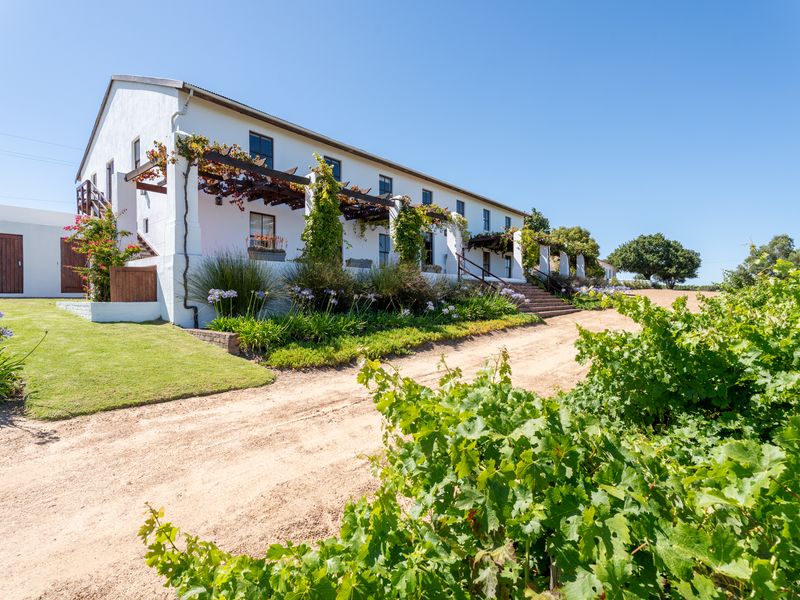 A charming farmhouse exterior featuring a covered pergola, landscaped garden, and a dirt driveway set against a backdrop of lush vineyards.
