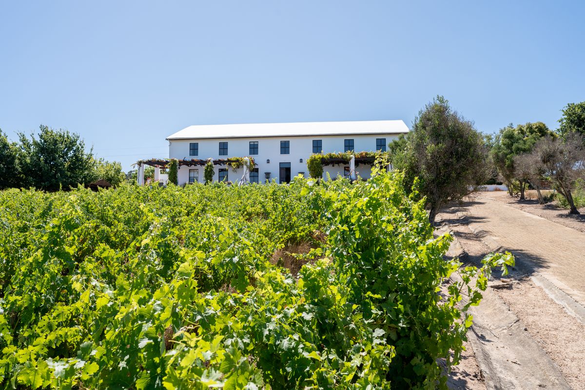 A picturesque view of a two-story farmhouse set against a lush vineyard, featuring a covered patio area and classic architectural design.