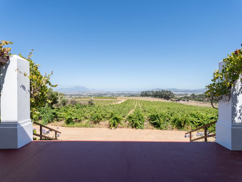 A scenic view from a covered patio overlooking a lush vineyard and distant landscape on a clear day.