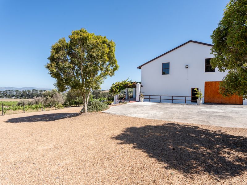 Exterior view of the farm property featuring a white building with a large wooden garage door, concrete driveway, and surrounding vineyard landscape.