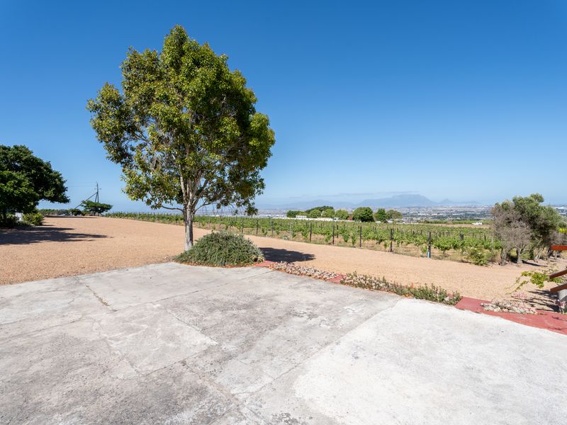 An expansive outdoor area featuring a concrete patio overlooking a vineyard with scenic mountain views.