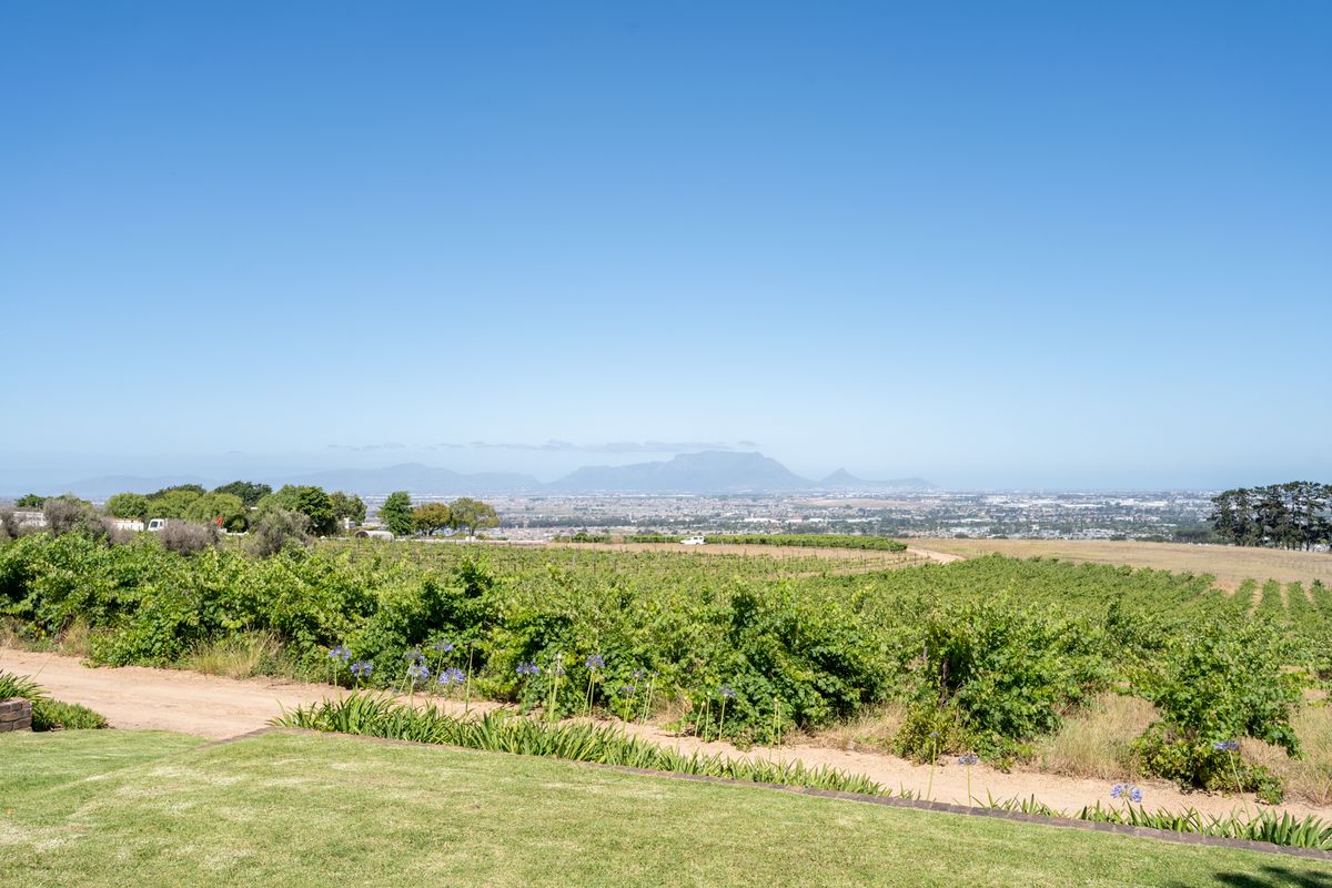 Expansive view overlooking a lush vineyard with rolling hills and distant mountain ranges under a clear blue sky.