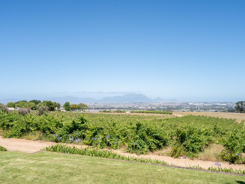 Expansive view overlooking a lush vineyard with rolling hills and distant mountain ranges under a clear blue sky.