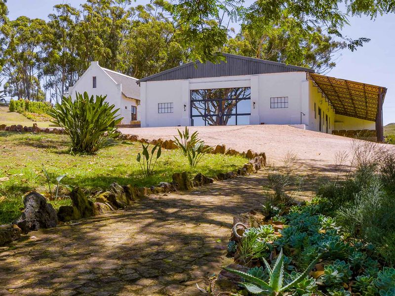 Farm For Sale in Riversdale Rural, Riversdale, Western Cape - Photo 5