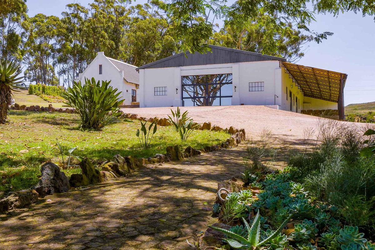 Farm For Sale in Riversdale Rural, Riversdale, Western Cape - Photo 5