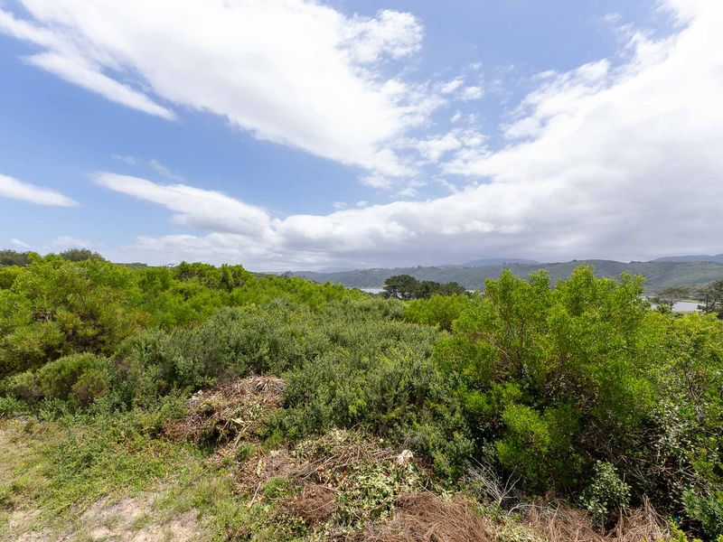 Vacant Land For Sale in Kleinkrantz, Wilderness, Western Cape - Photo 9