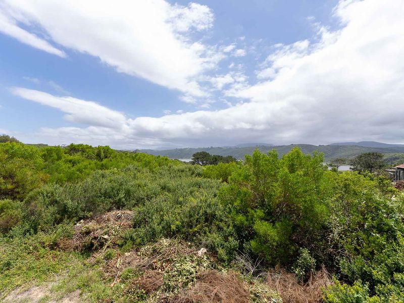 Vacant Land For Sale in Kleinkrantz, Wilderness, Western Cape - Photo 9
