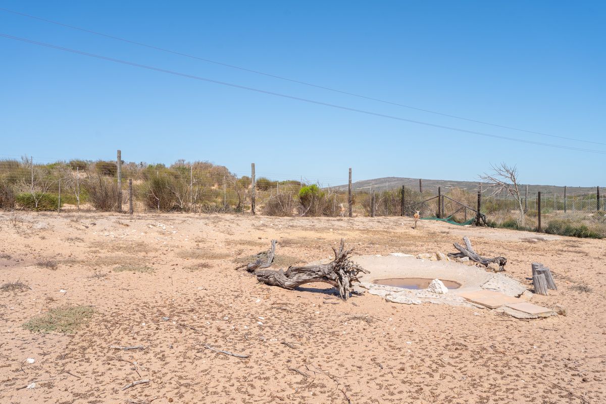 Farm For Sale in Long Acres Country Estate, Langebaan, Western Cape - Photo 5
