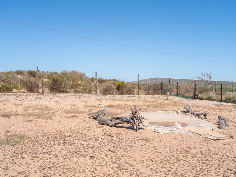 Farm For Sale in Long Acres Country Estate, Langebaan, Western Cape - Photo 5