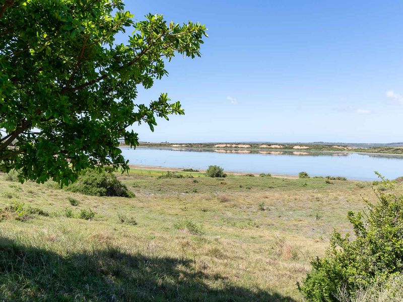 A scenic landscape view overlooking a tranquil lake and natural vegetation on the farm property.
