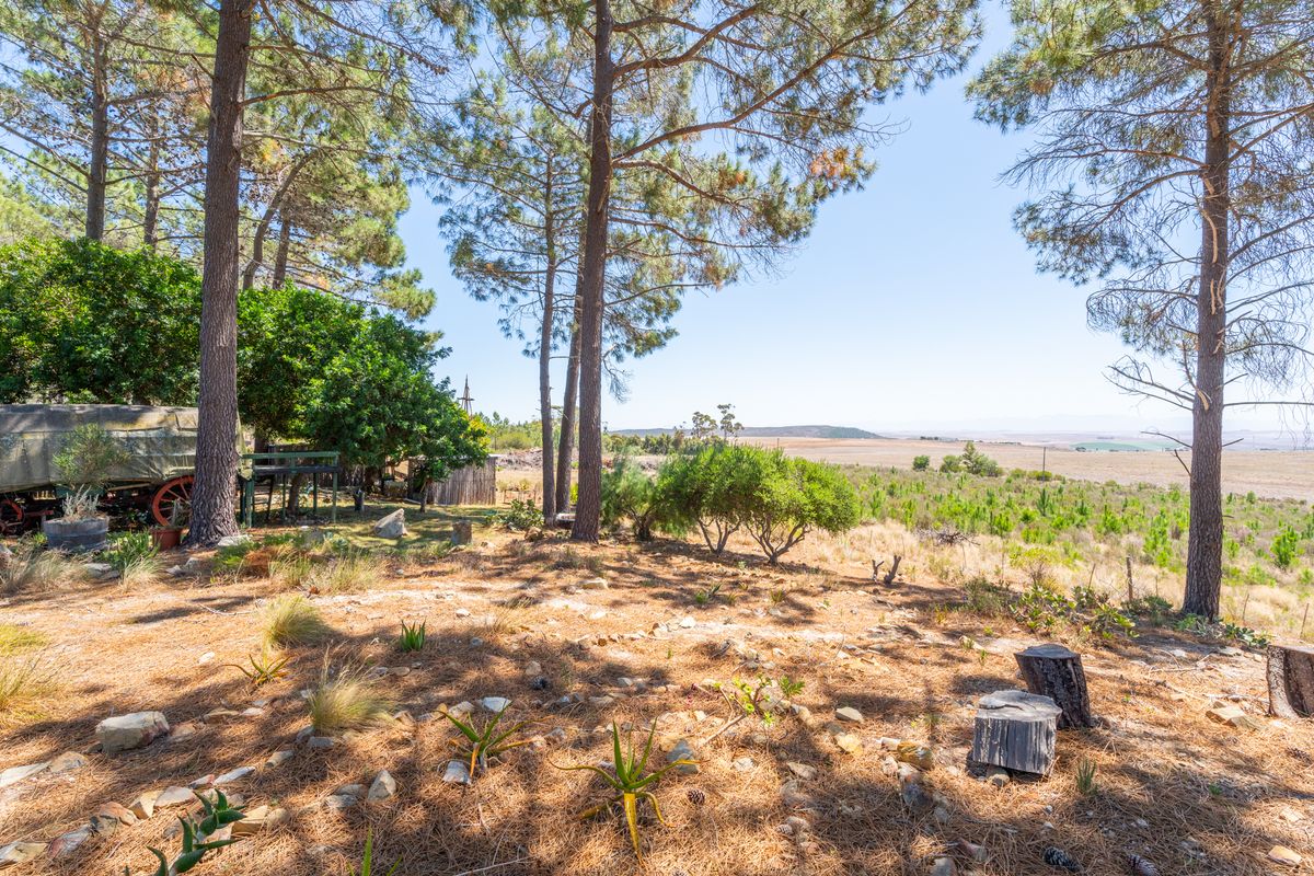 House For Sale in Napier, Western Cape - Photo 3