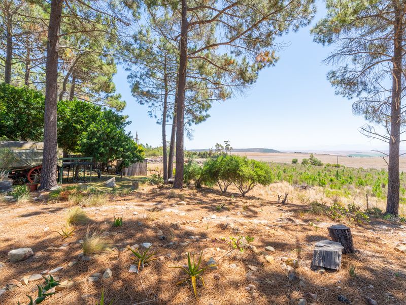 House For Sale in Napier, Western Cape - Photo 3