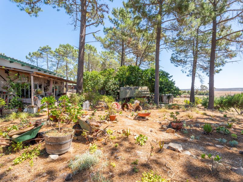 House For Sale in Napier, Western Cape - Photo 8