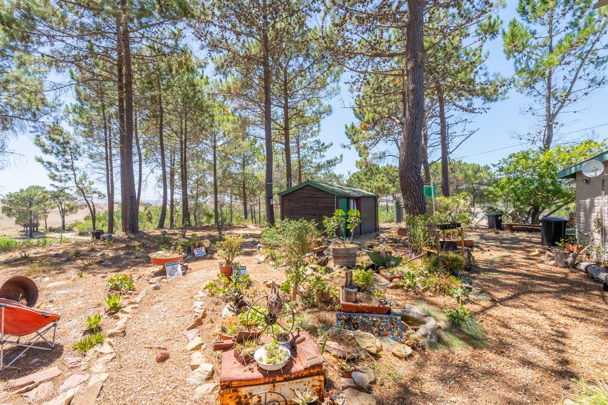 House For Sale in Napier, Western Cape - Photo 4