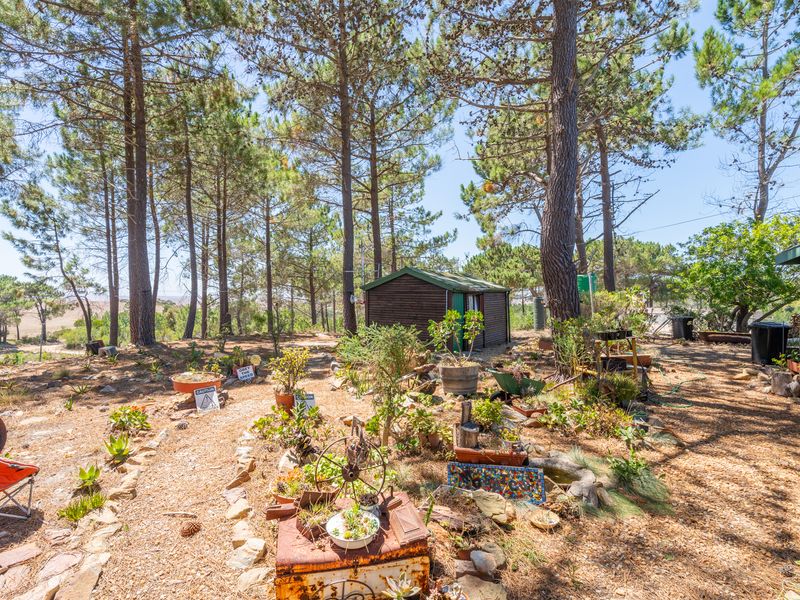 House For Sale in Napier, Western Cape - Photo 4