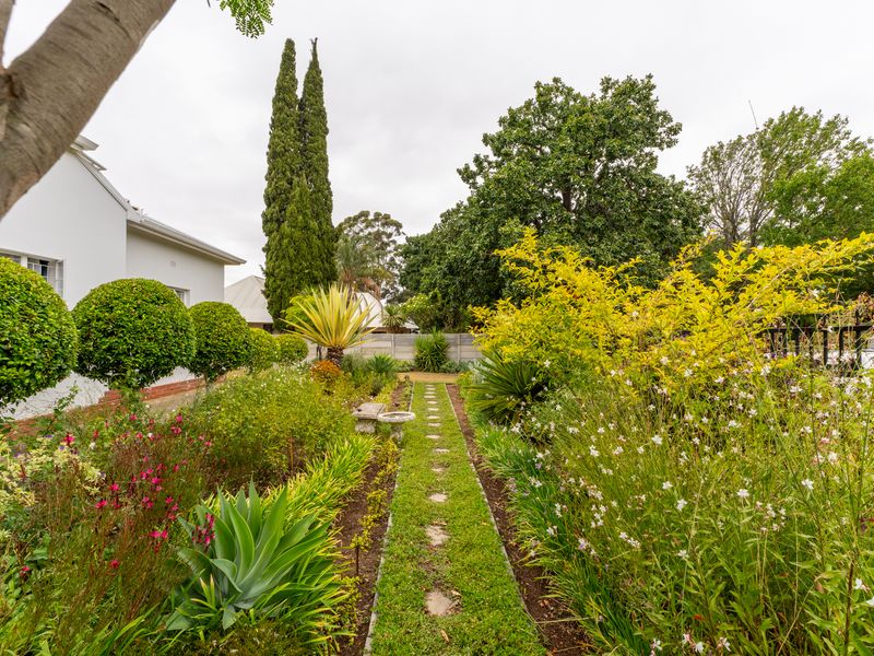 Charming Family Home in a much sought after street! - Photo 7