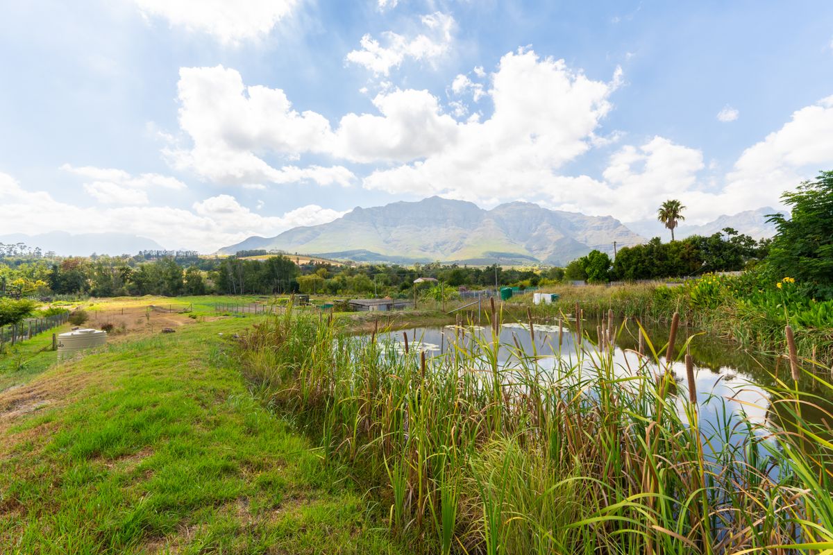 House For Sale in Jamestown, Stellenbosch, Western Cape - Photo 4