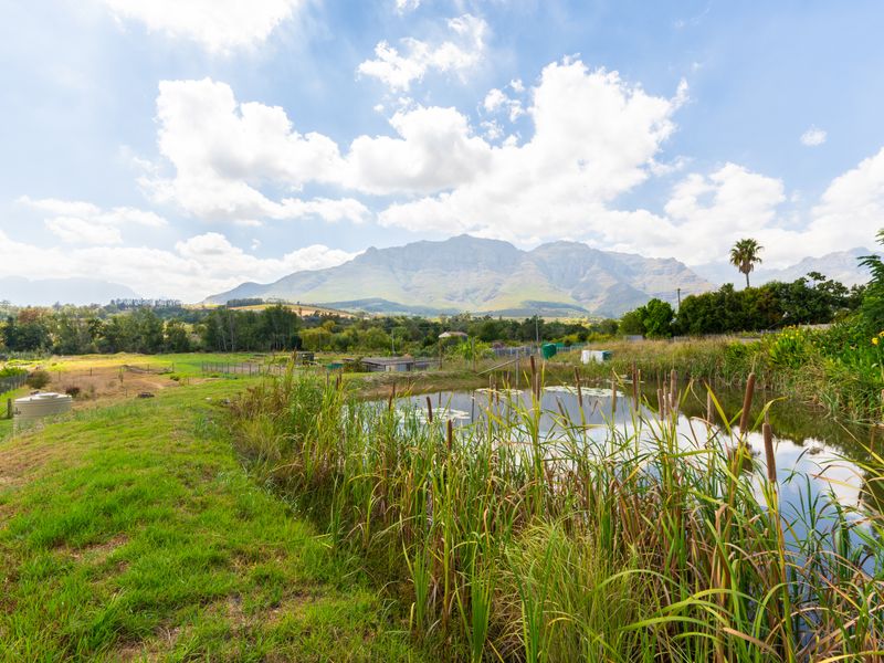 House For Sale in Jamestown, Stellenbosch, Western Cape - Photo 4